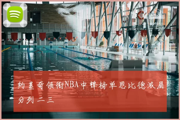 约基奇领衔NBA中锋榜单恩比德浓眉分列二三